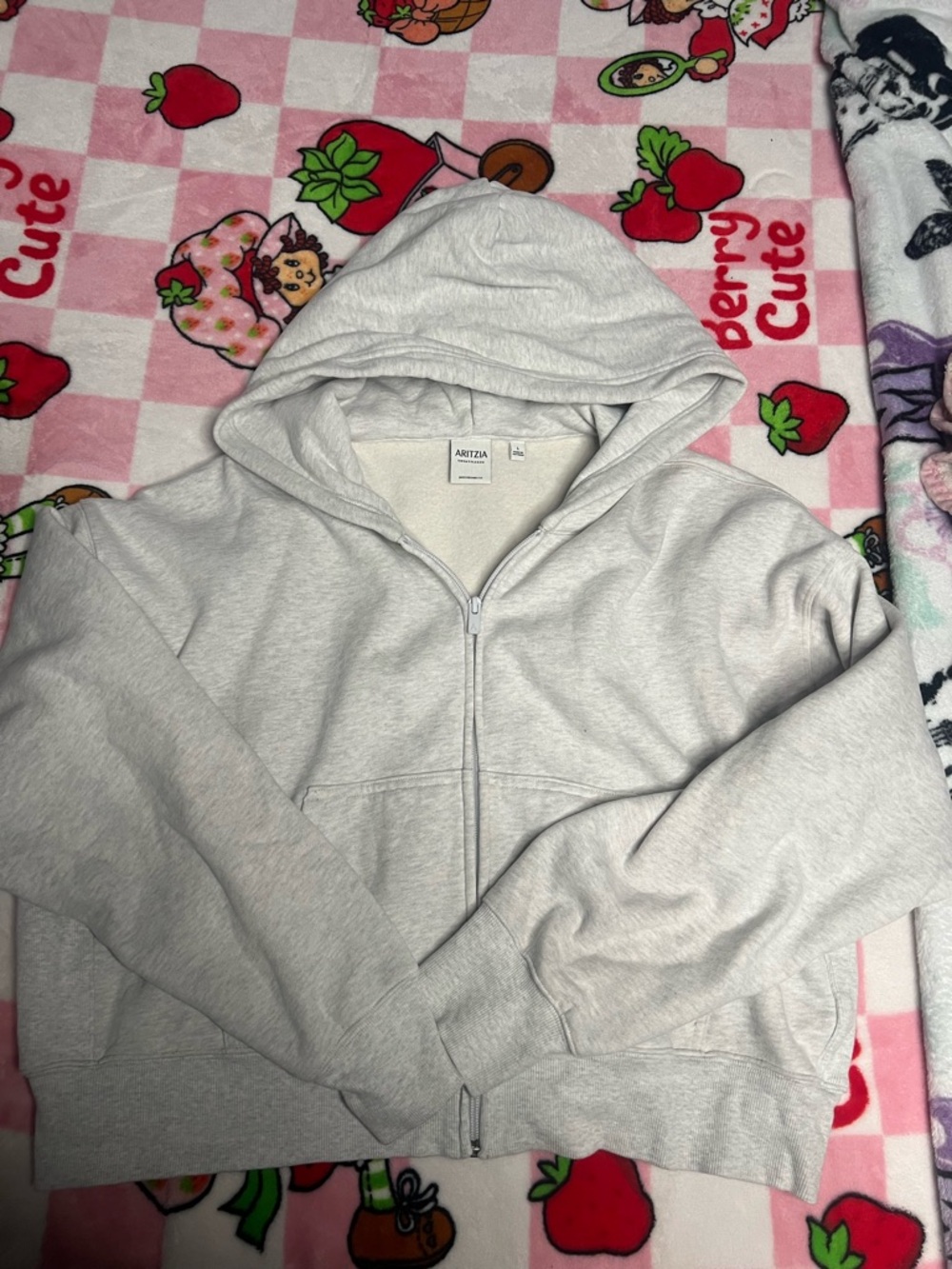 Aritzia Light Gray Zip-Up Hoodie Size L
